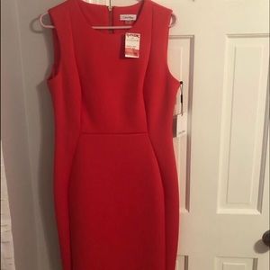 Calvin Klein Dress Size 12